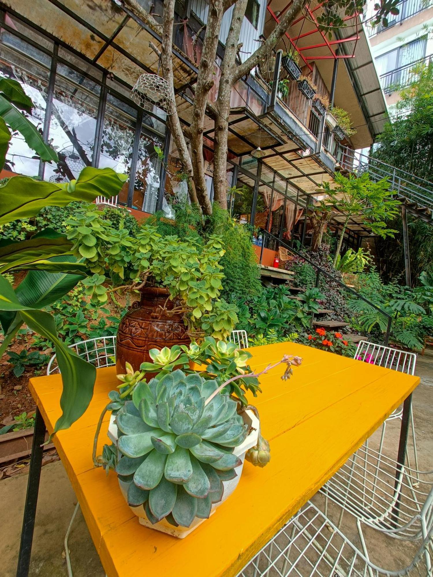 Lalaland Homestay Da Lat Szoba fotó