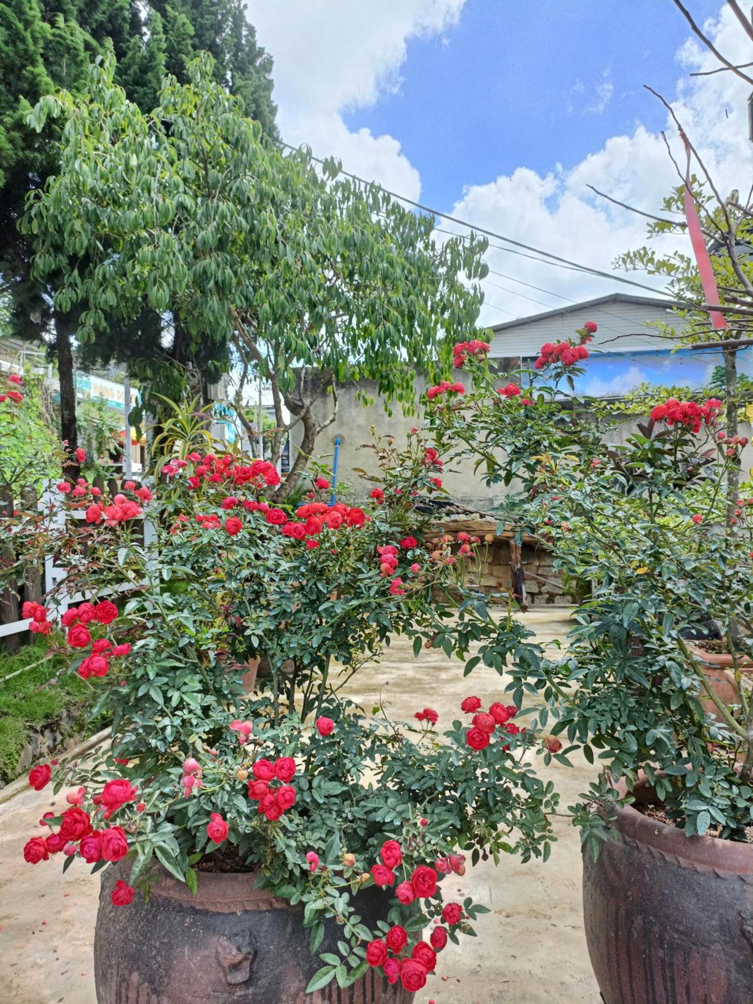 Lalaland Homestay Da Lat Kültér fotó